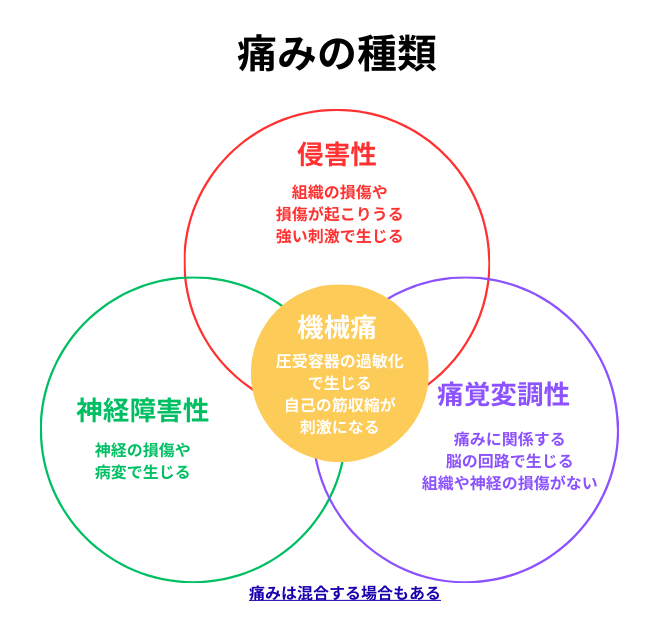 痛みの種類の相関図